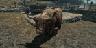Elder Scrolls V Skyrim
