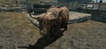 Elder Scrolls V Skyrim