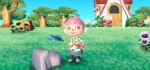 Animal Crossing 3DS Animal Crossing 3DS
