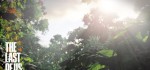 The Last of Us