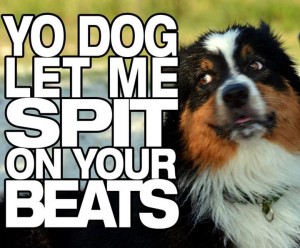 yo dog let me spit on your beats