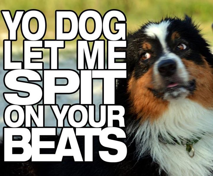 Yo dog let me spit on your beats