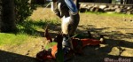 WaroftheRoses