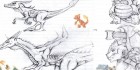 Pokemon Reimagined Pokemon Reimagined
