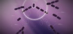 Splice