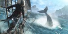 newUploads_2013_0321_1ce7dffbfa5ea25a93ffee42dd7cda94_AC4BF_SC_SP_02_Whale.JPG