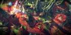 Anomaly 2