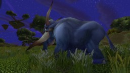 Elekk from The Burning Crusade